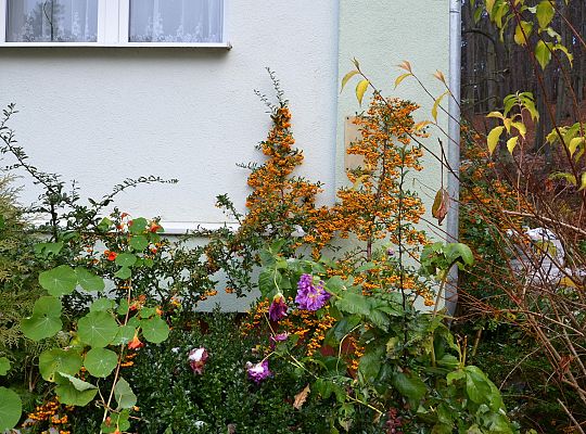 Wspólnota Mieszkaniowa Sopot ul. 23 Marca 102 -  listopad 2013