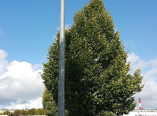 Instalacja kamery kopułowej BCS na słupie - parking CH Kaszuby Wejherowo