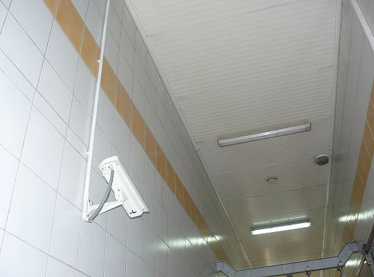 Rzeźnia Oskowo luty 2011