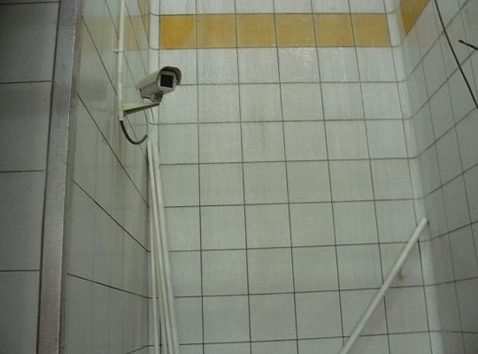 Rzeźnia Oskowo luty 2011