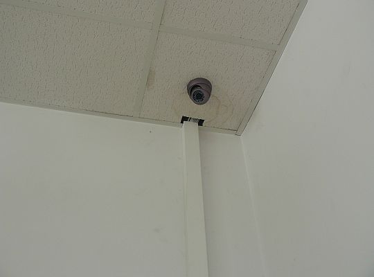 Rzeźnia Oskowo luty 2011