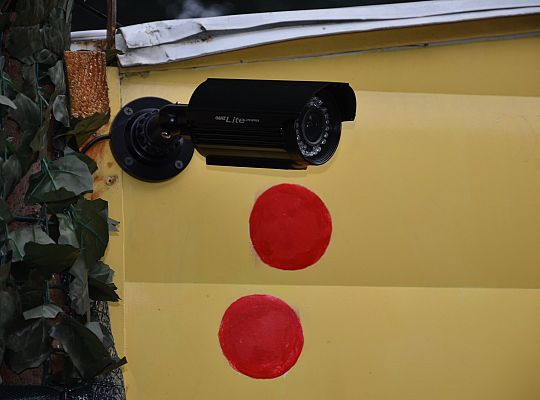 Domek do góry nogami sierpień 2013