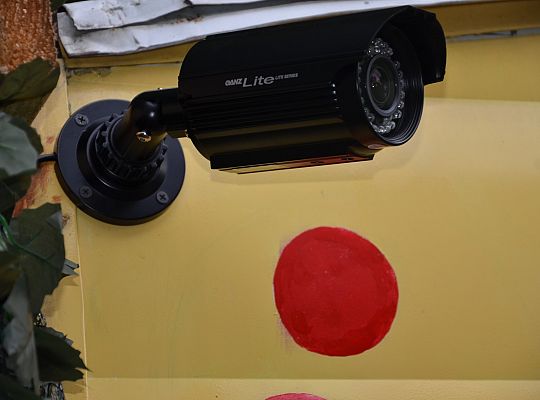 Domek do góry nogami sierpień 2013