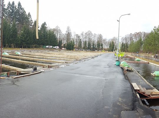 Hodowla ryb Lulemino marzec 2017r.