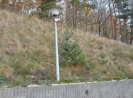 Wspólnota Mieszkaniowa Wejherowo ul. Fenikowskiego 29 luty 2017