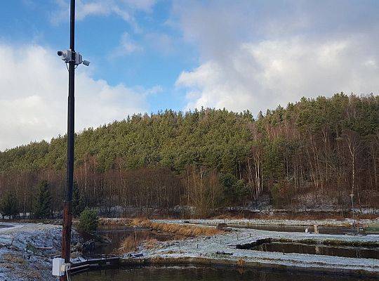 Hodowla ryb Tłuczewo styczeń 2017