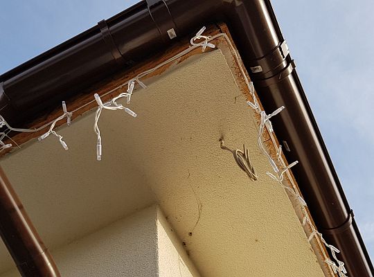 Dom prywatny Lębork listopad 2018