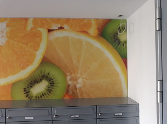 Wspólnota  Mieszkaniowa  Kowale ul. Zeusa 66,68 Kwiecień 2019