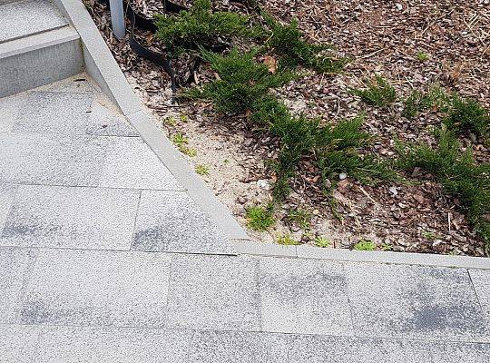 Wspólnota Mieszkaniowa Gdynia ul. J.Porazińskiej 16 Kwiecień 2019