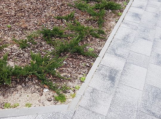 Wspólnota Mieszkaniowa Gdynia ul. J.Porazińskiej 16 Kwiecień 2019