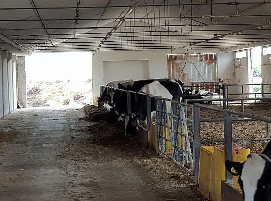 Kamery zainstalowane w gospodarstwie rolnym w okolicy Łeby