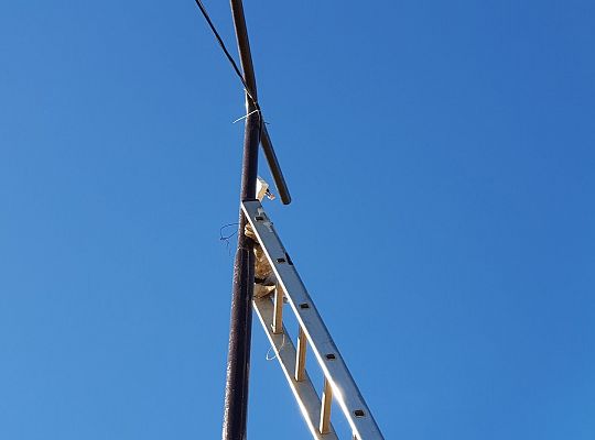 Montaż kamery na słupie powiat Słupsk